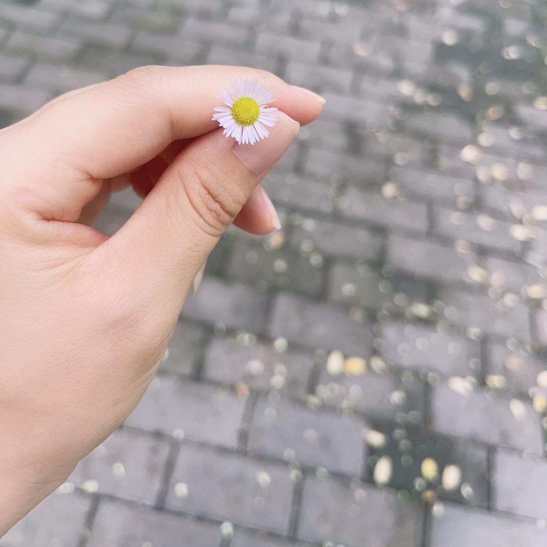 海苔✿⁵¹¹