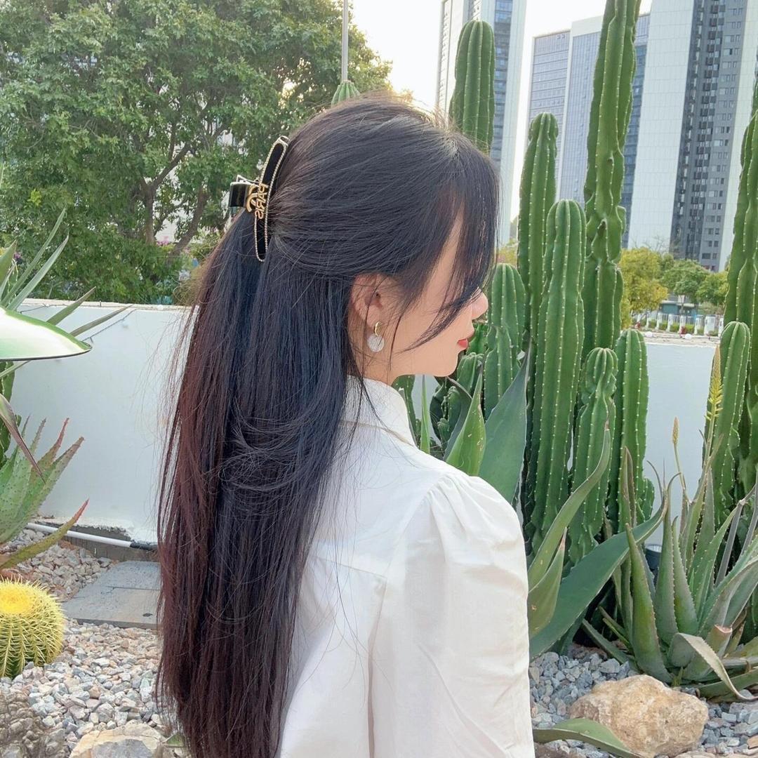 助理1🕊