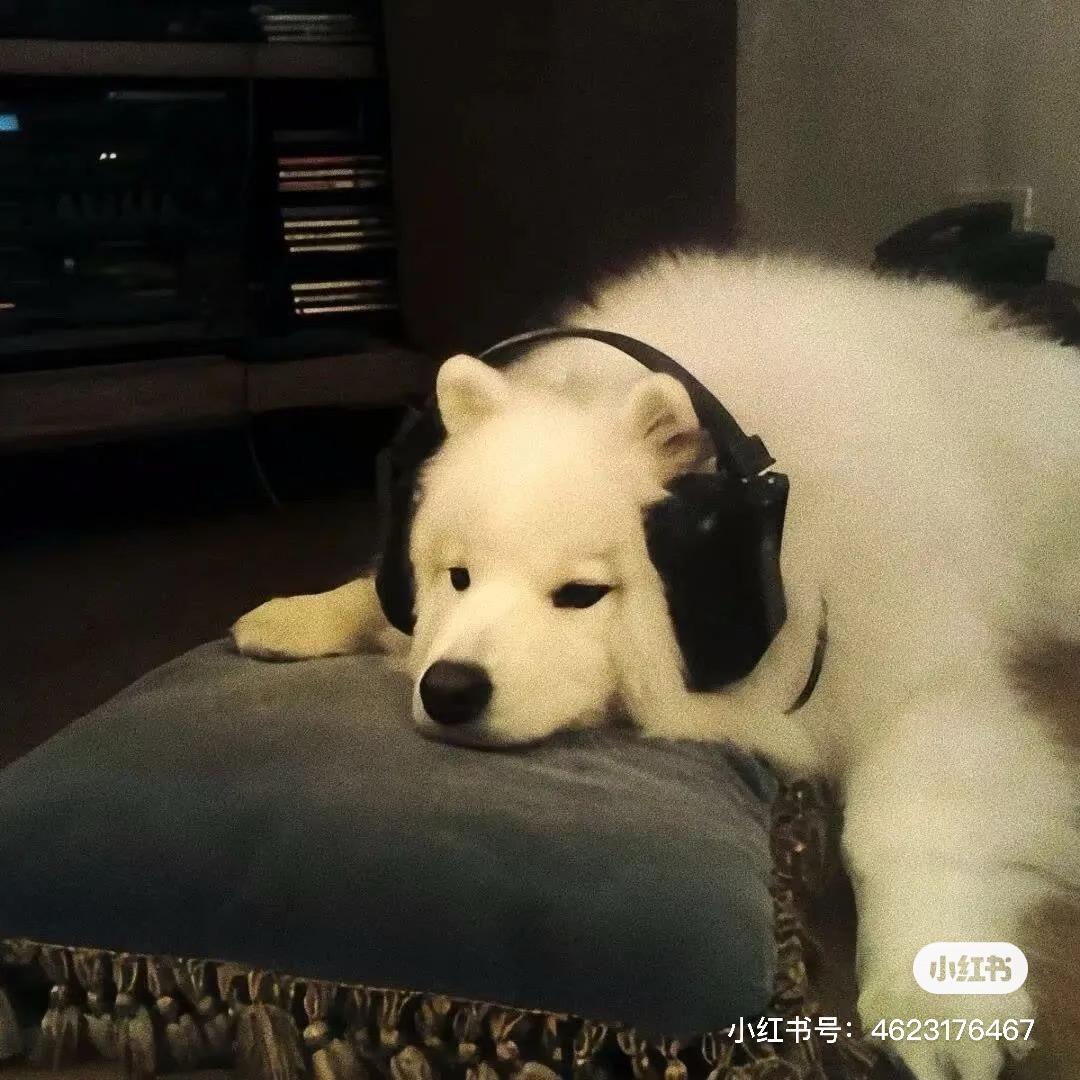 开心超人🦸