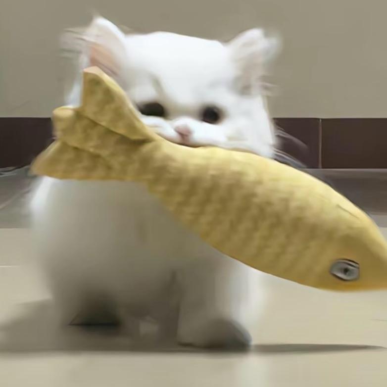 嘻嘻嘻哈哈
