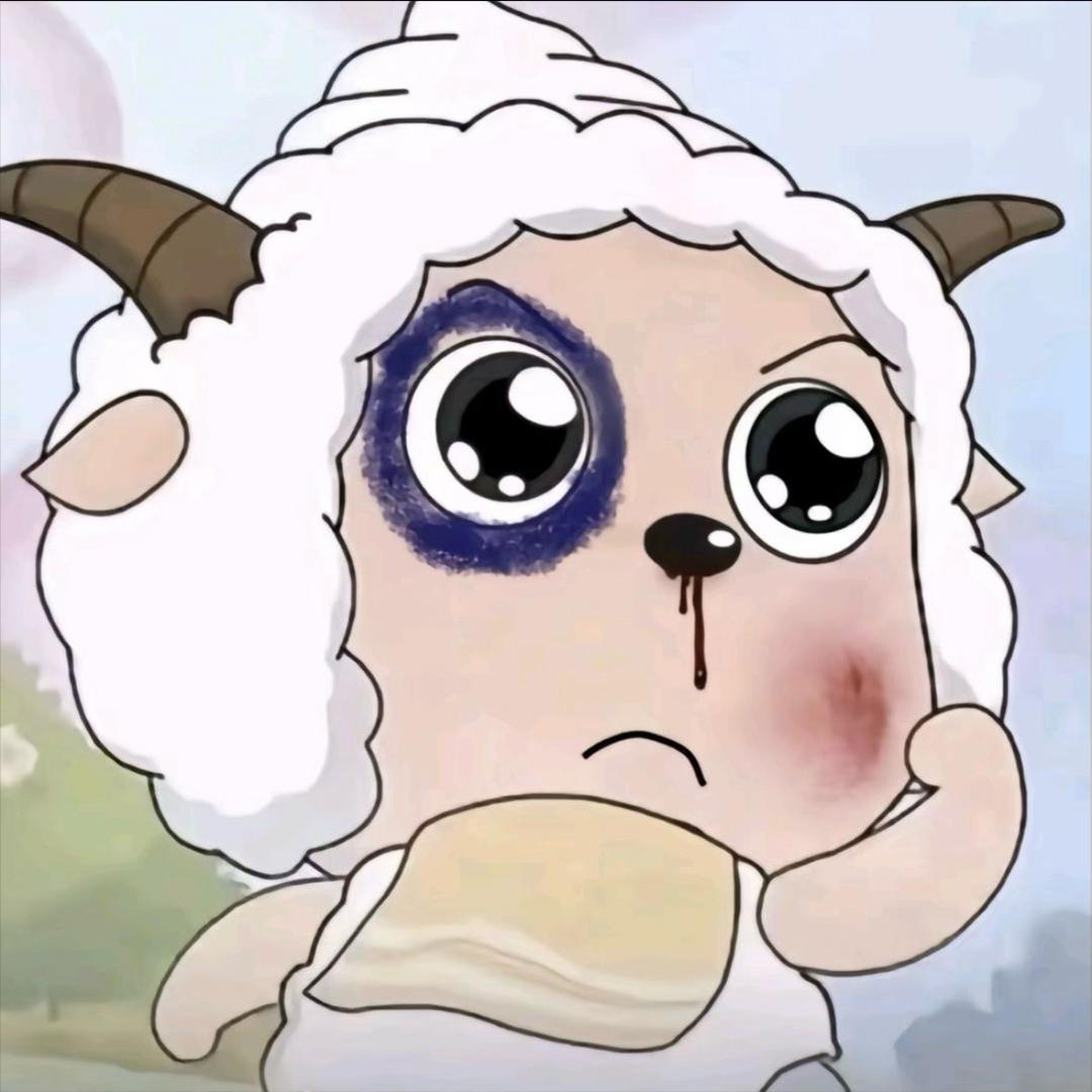 各执一词