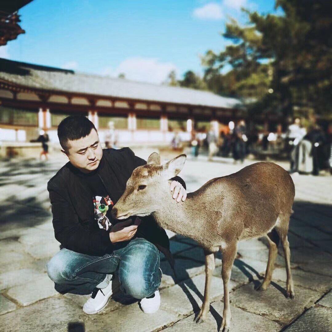 喀什噶尔的胡杨