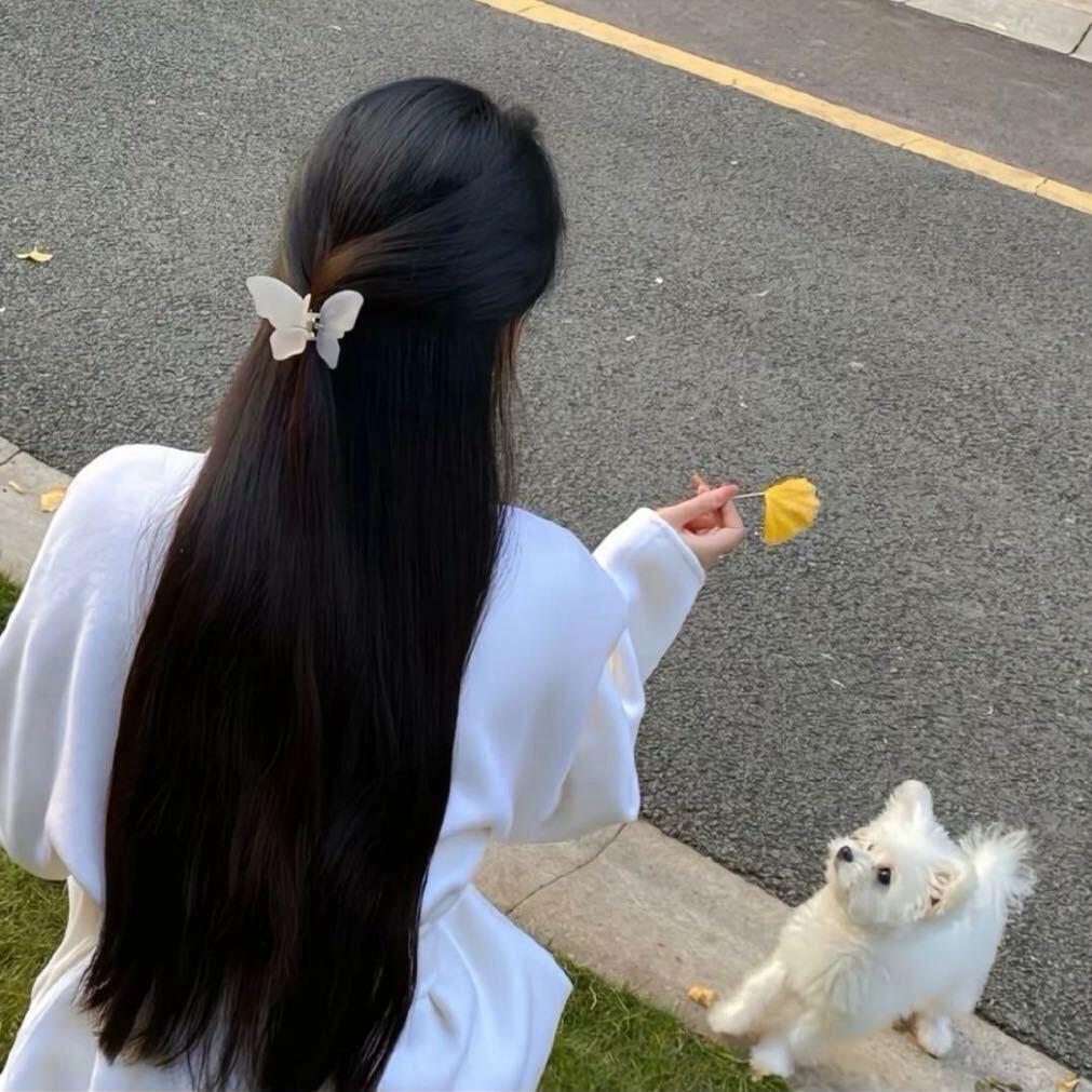 恩恩（养发中）