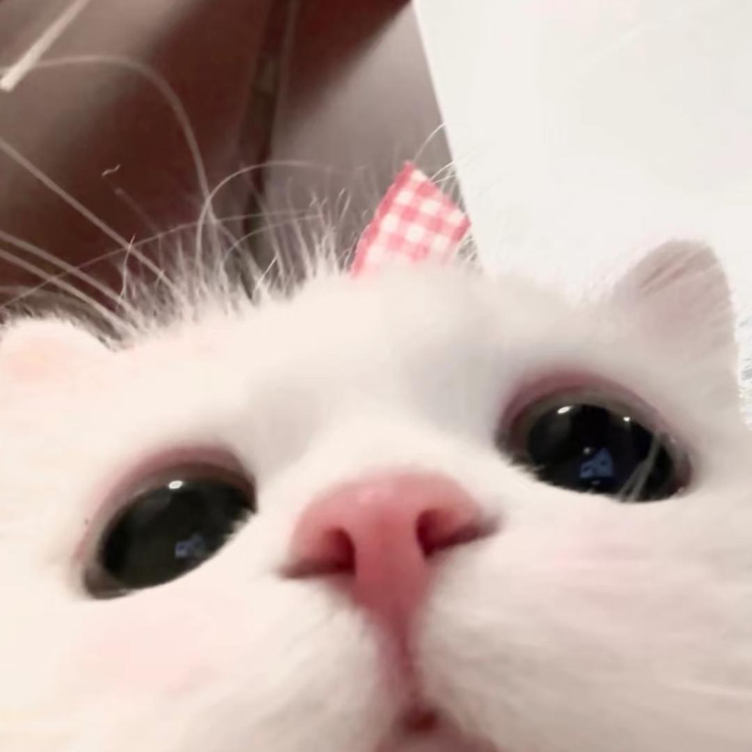 ᳐ 漾小漾 ᳐੭