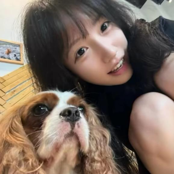 撞鱼鱼