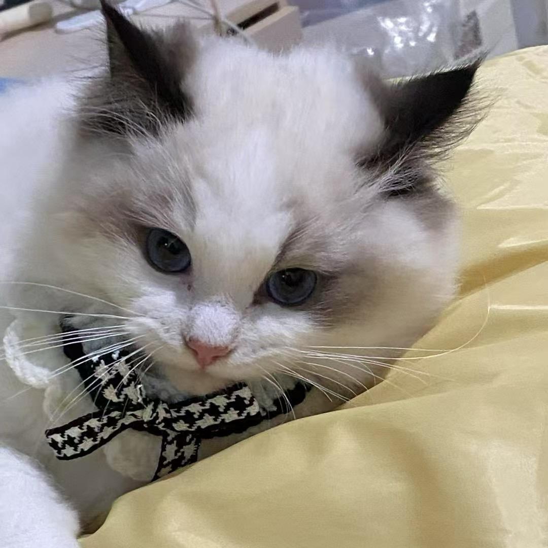 离别时不敢回头