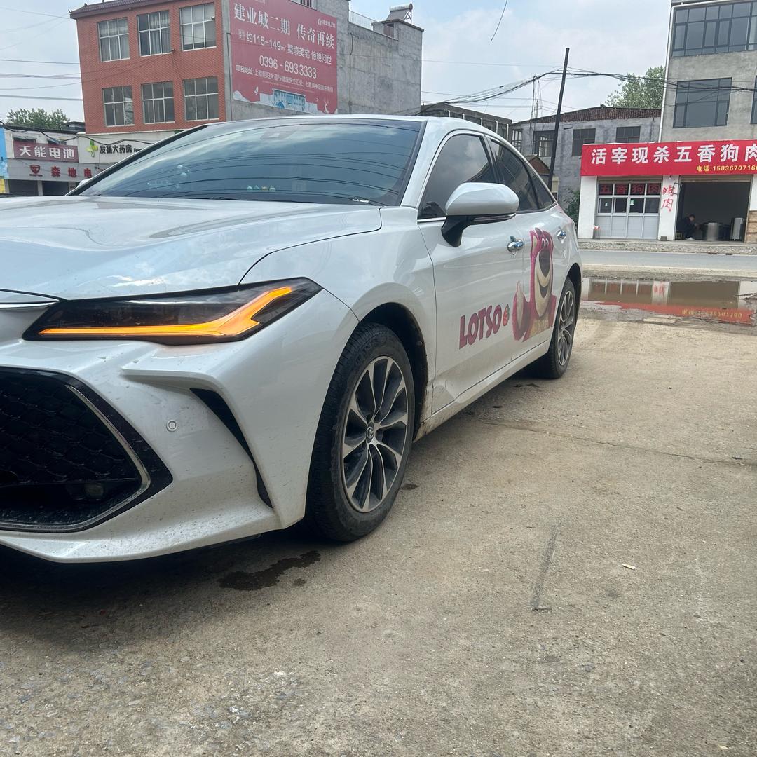 亚洲龙🐉