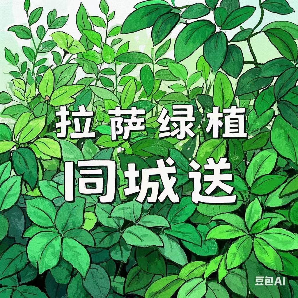 拉萨福晟绿植园艺坊