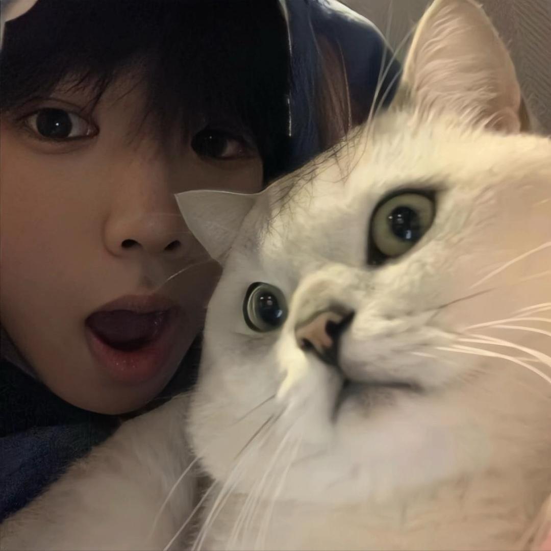Ming_