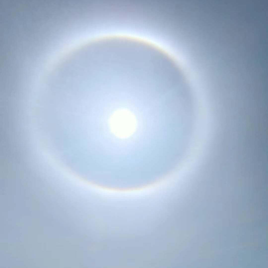 四毛