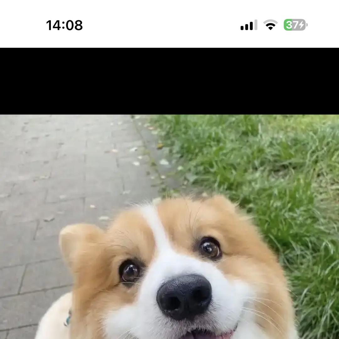 攘怎百货优品店