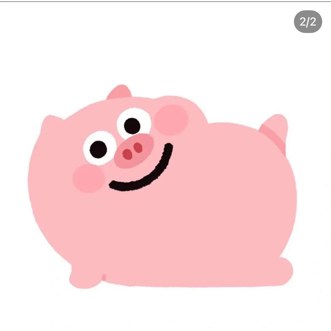 冷漠猪猪🐷