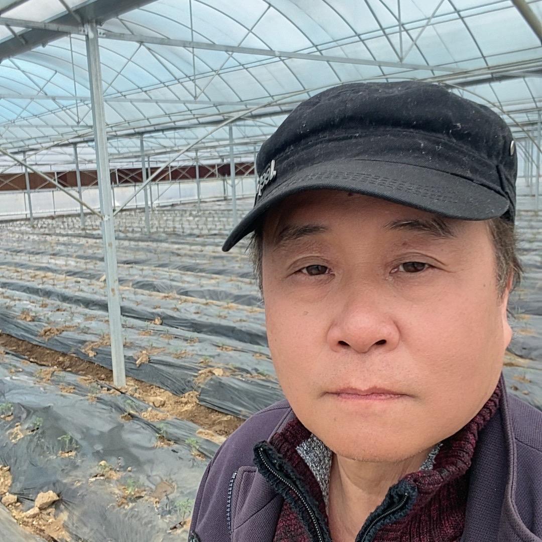 博士后的菜园子