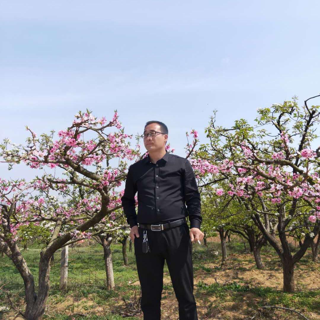 峰茂建设      (大包建别墅)