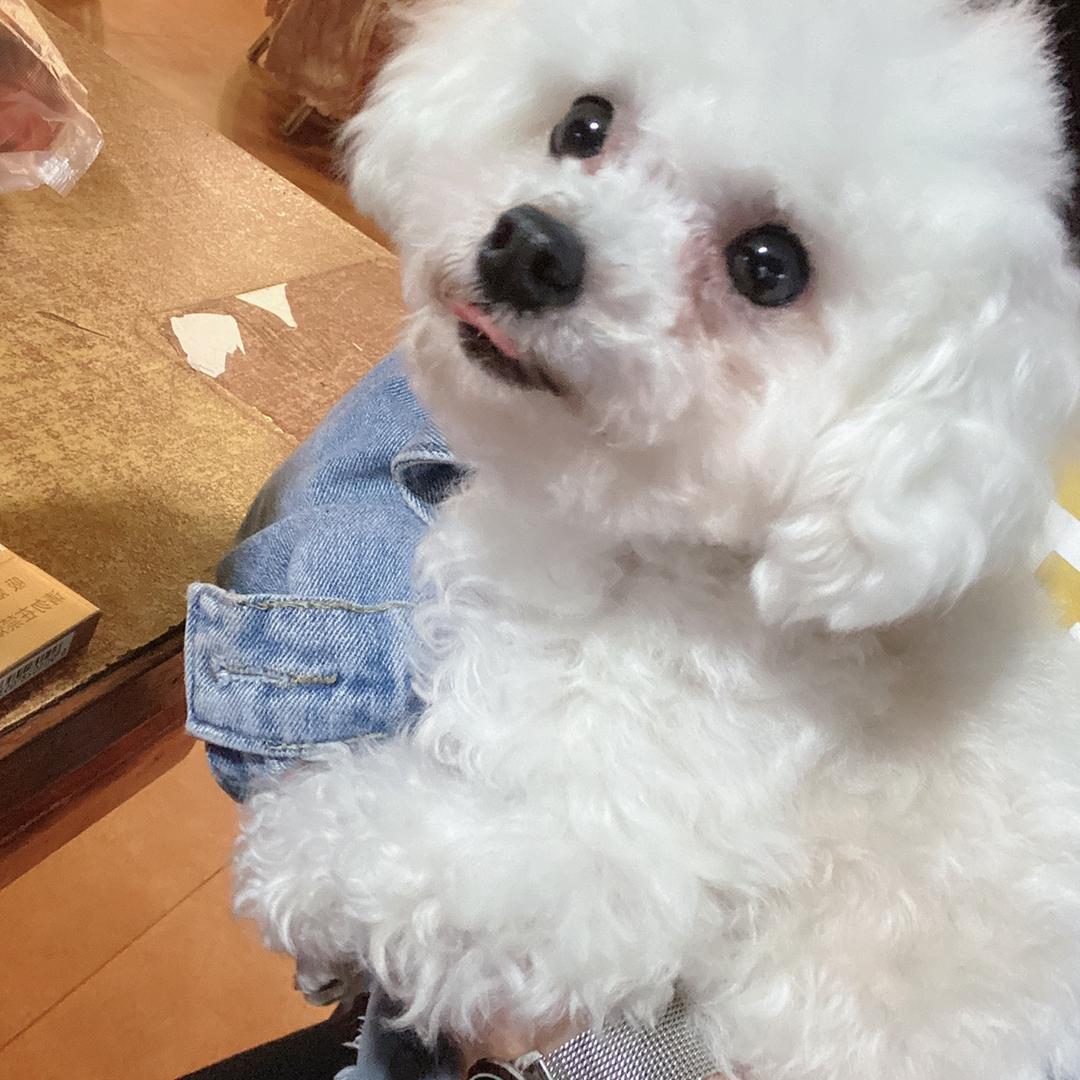 大闪电and小桂圆