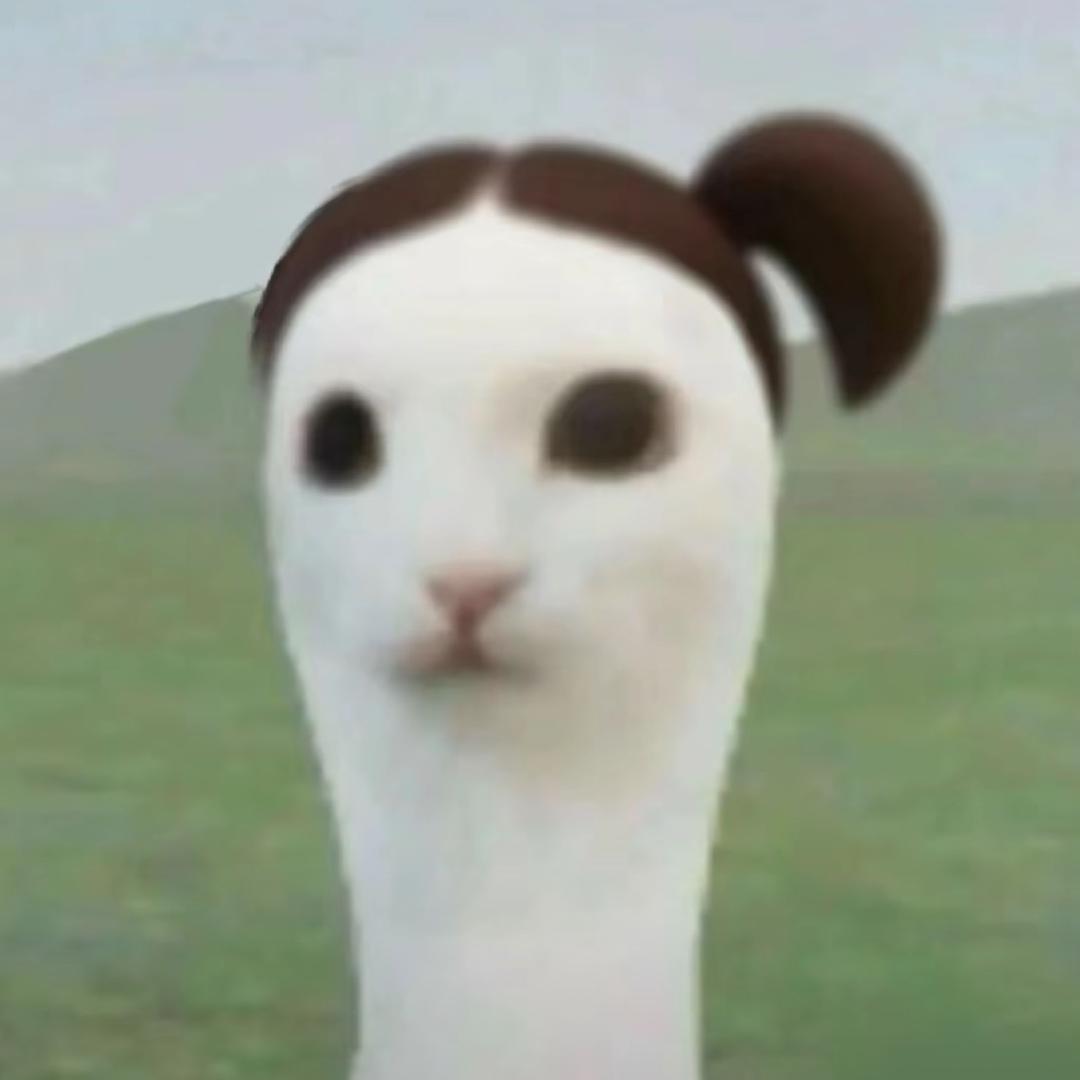 琳琳