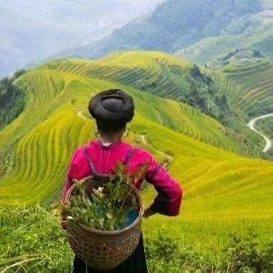 壹凯冘尢