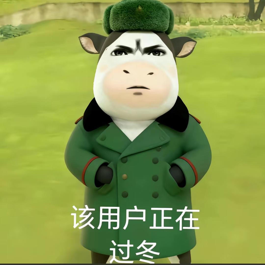 11点前肯定睡