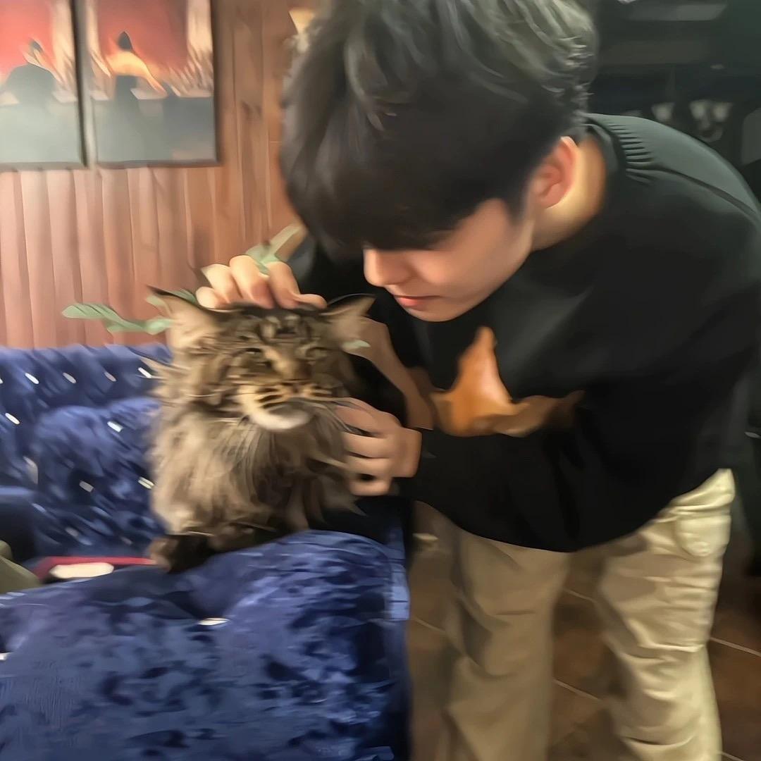 饼干🍪（洛阳地陪）