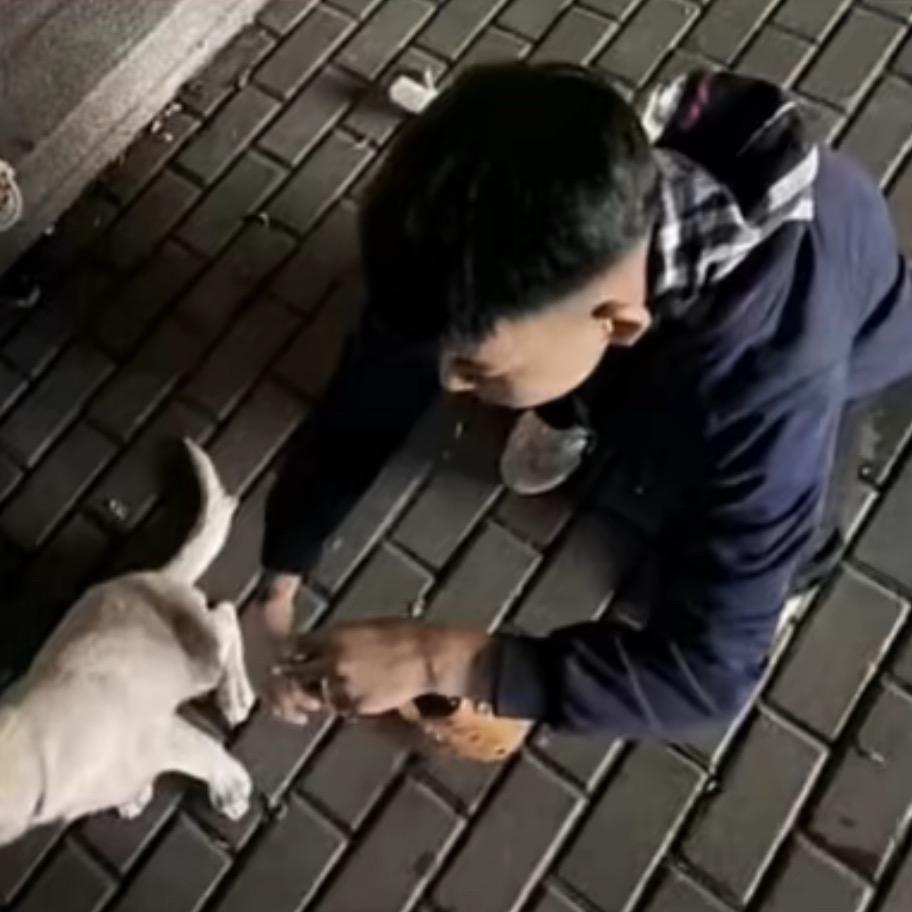 人不帅嘴不甜长的危险还没钱