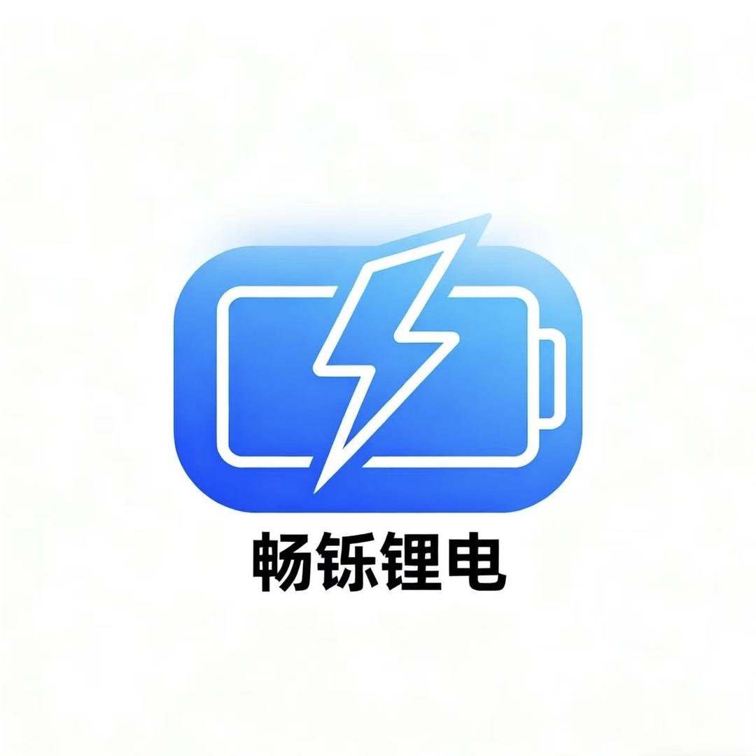 畅铄锂电二店