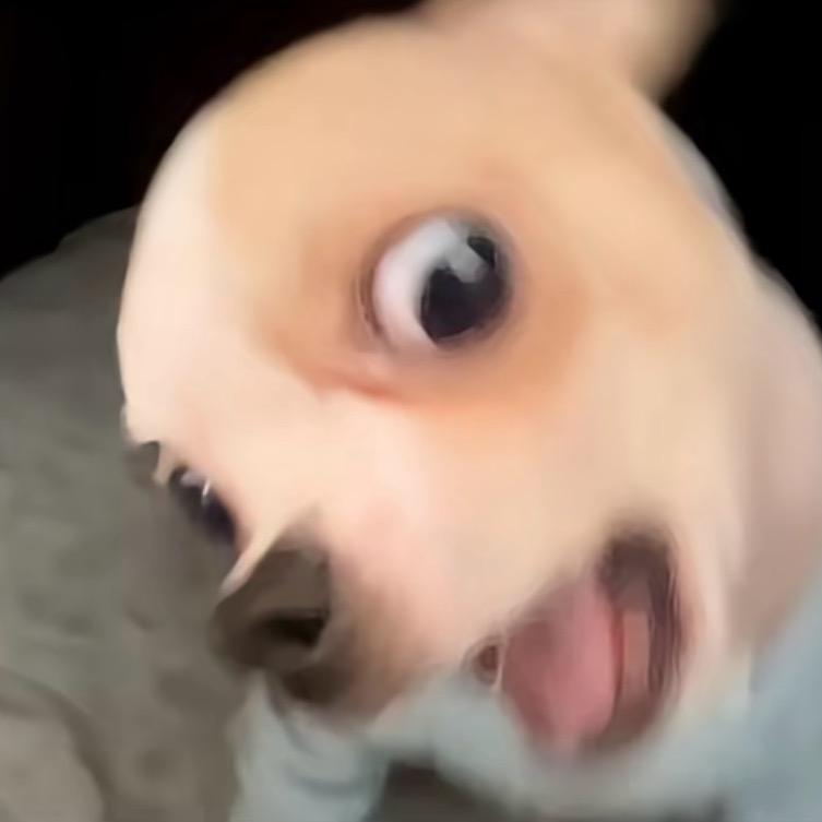 陆骁云的小跟班