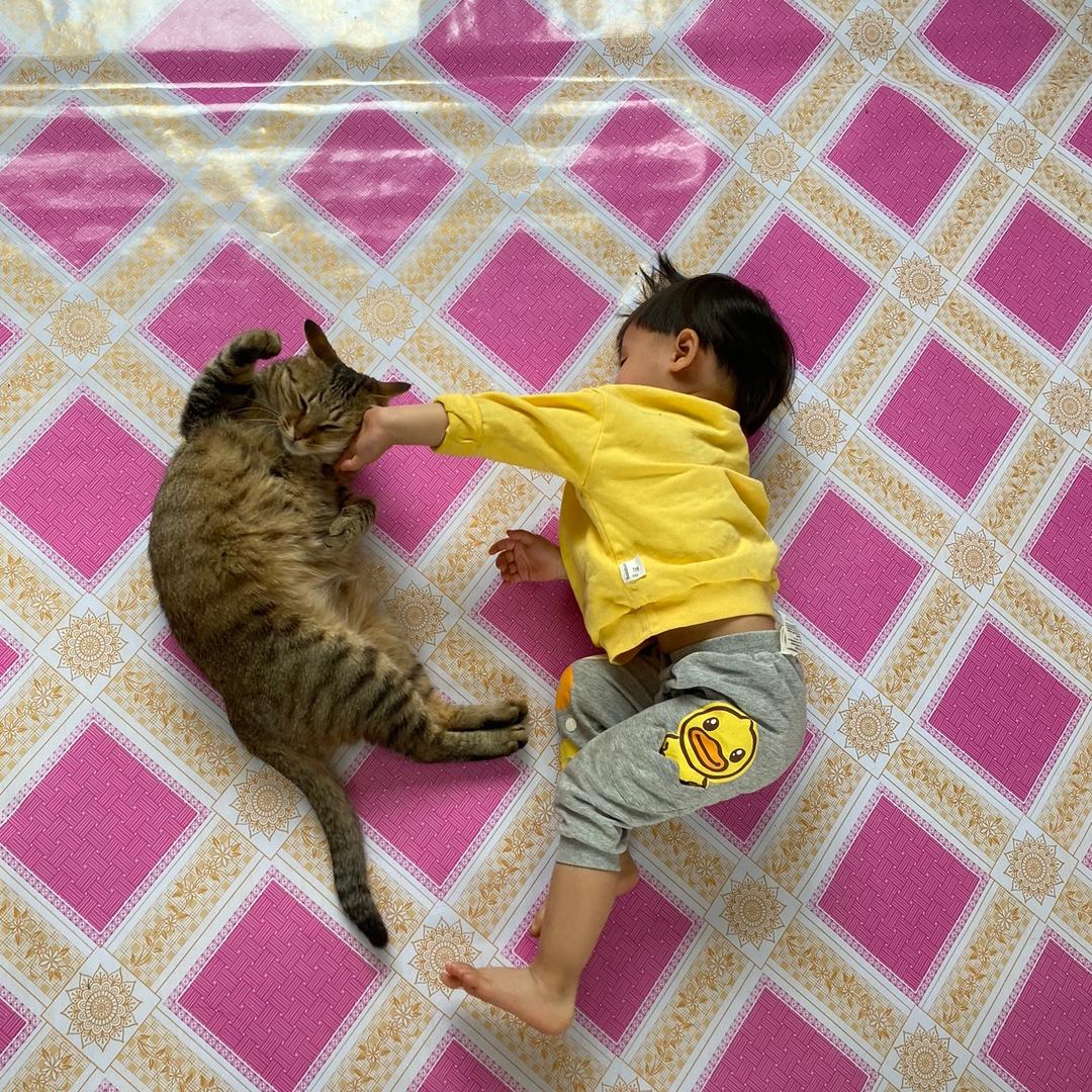 小团团
