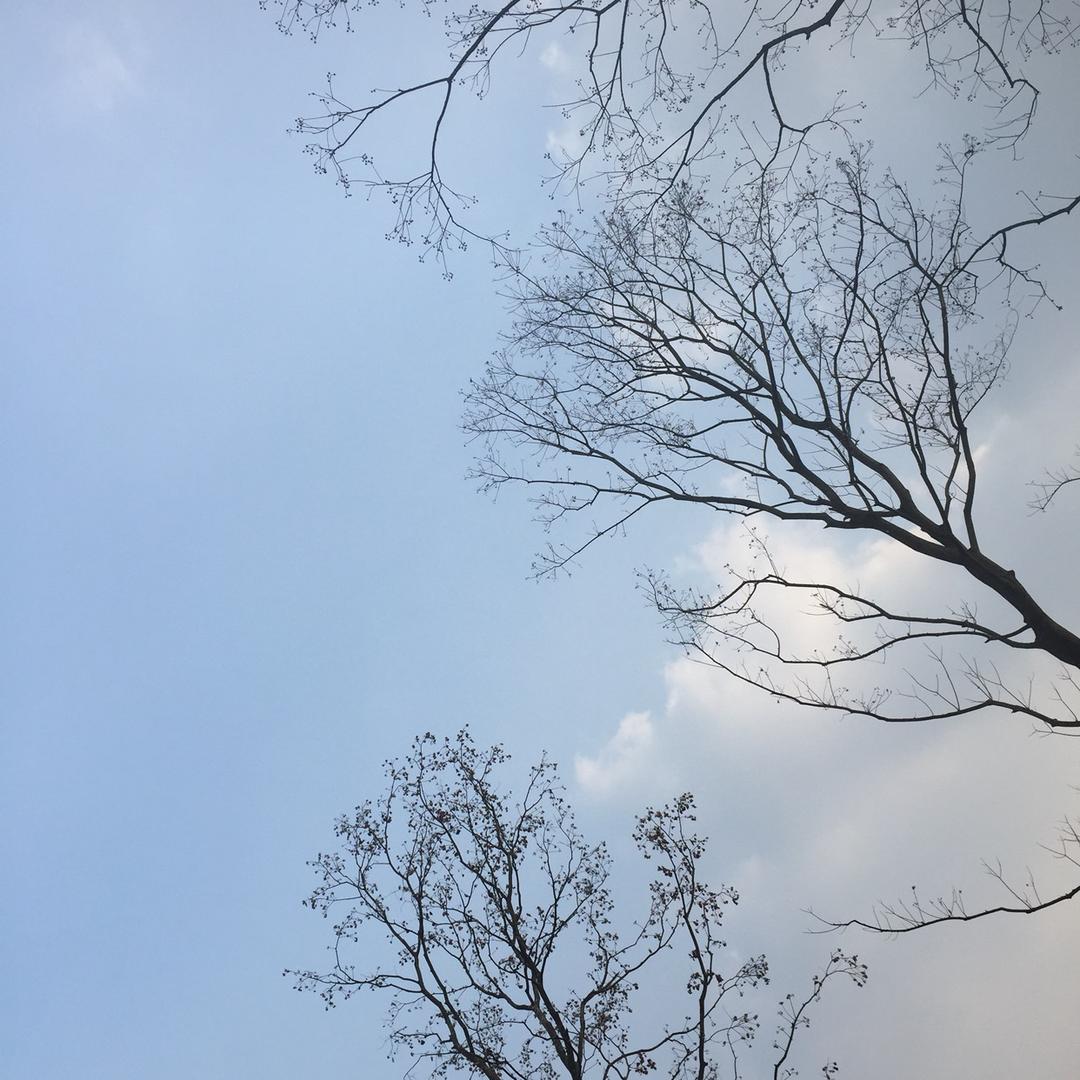 佛