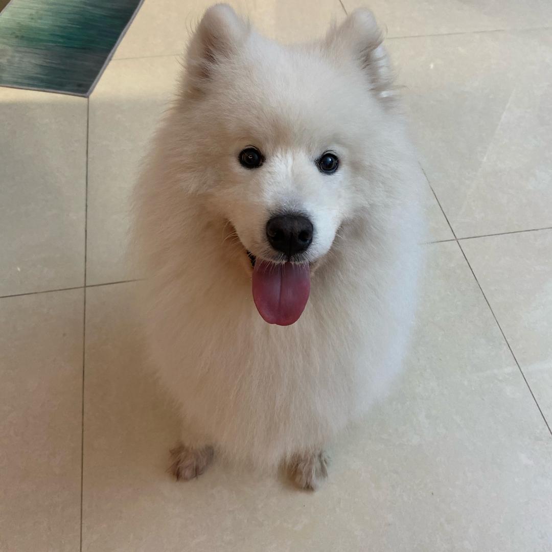 德记看房