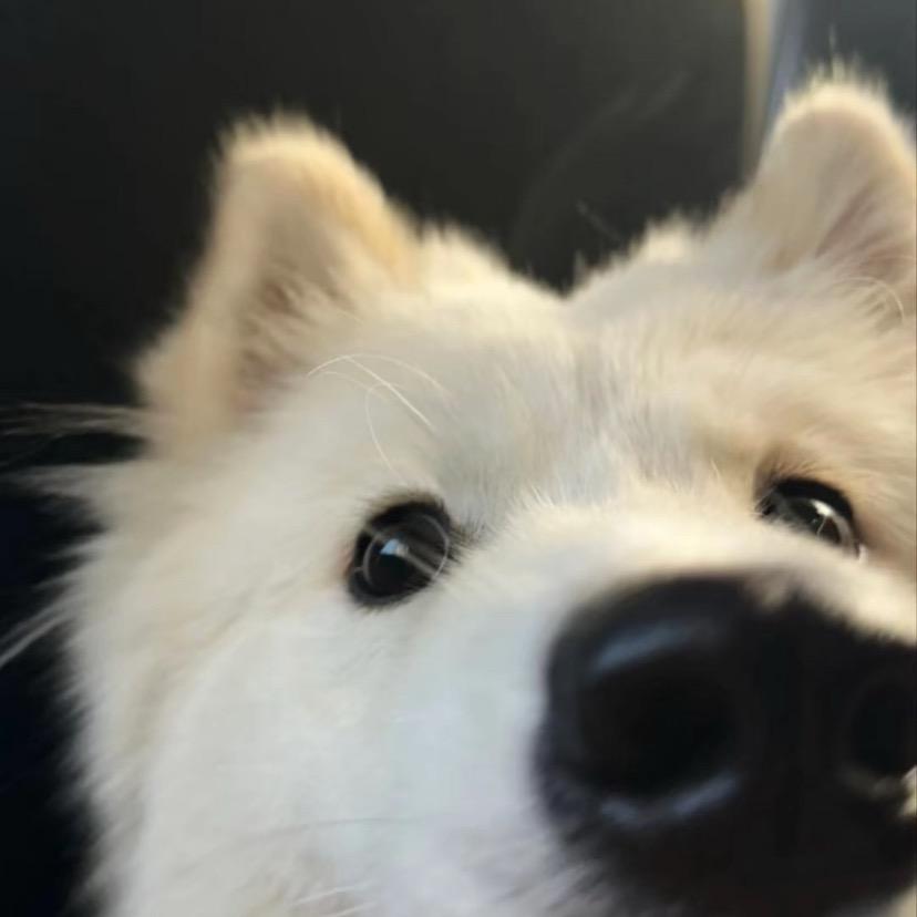 suxi_苏曦