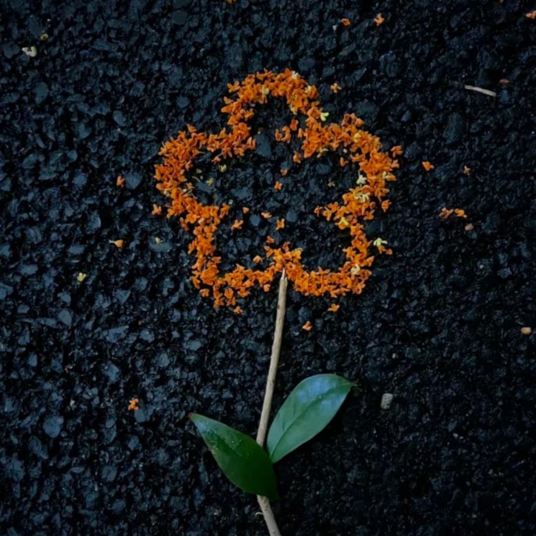 吃不饱的金元宝