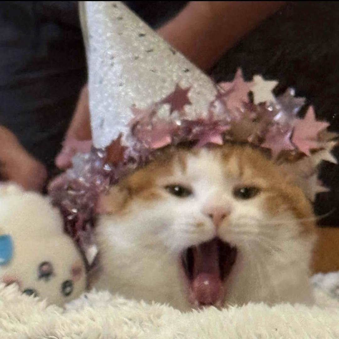 扣扣脑子ᴶᵀ