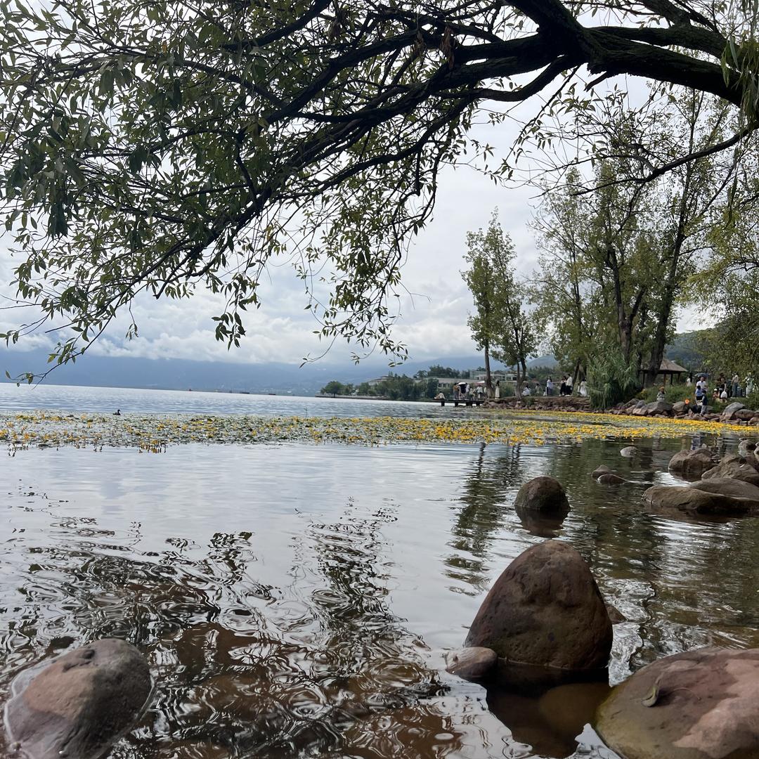 成都开时网络科技有限公司