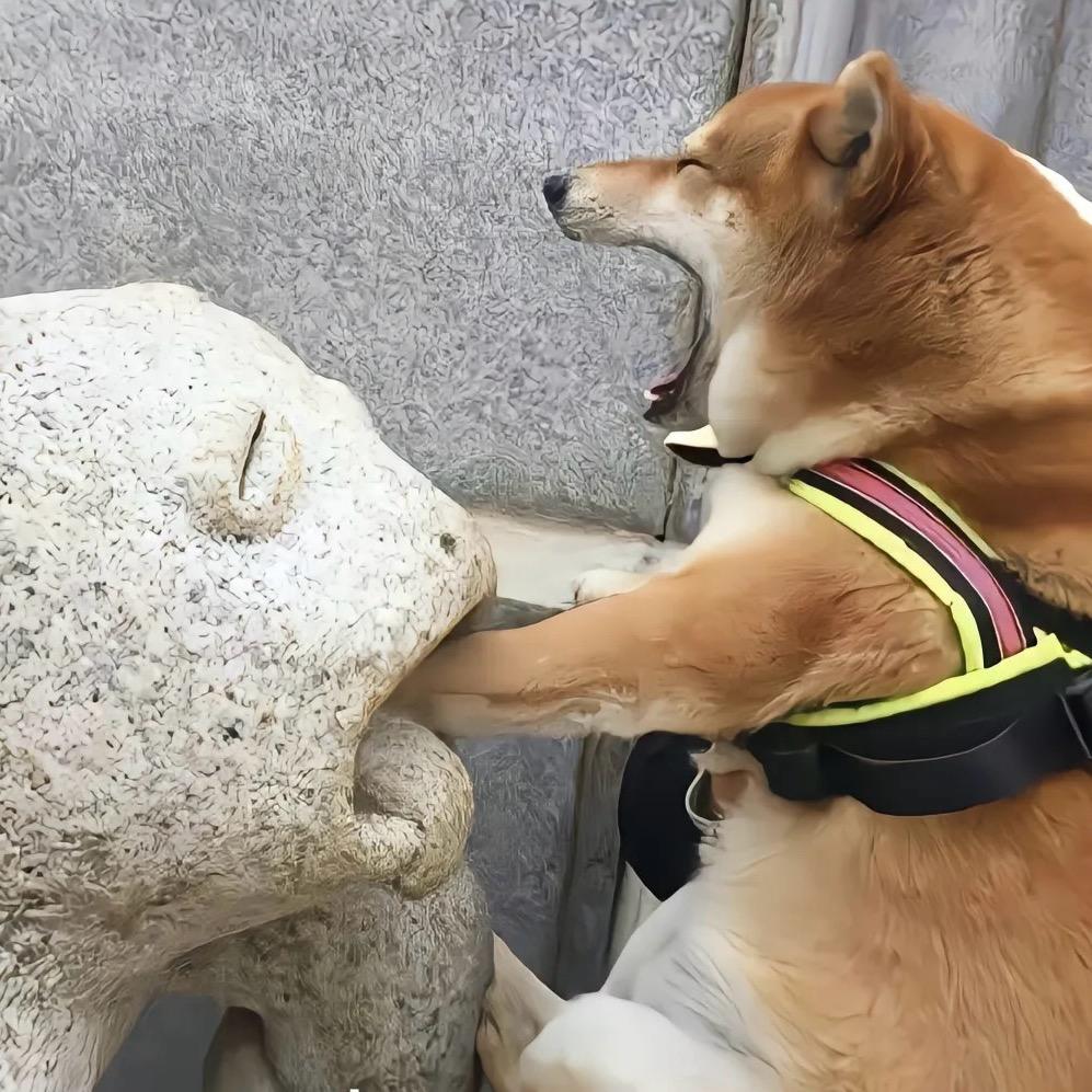 响涵