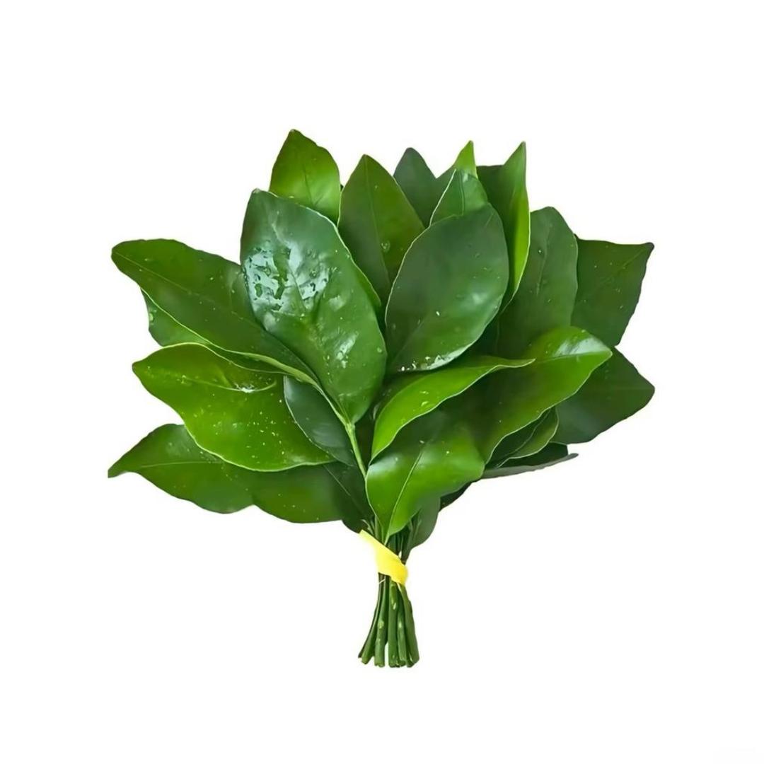 智慧果-