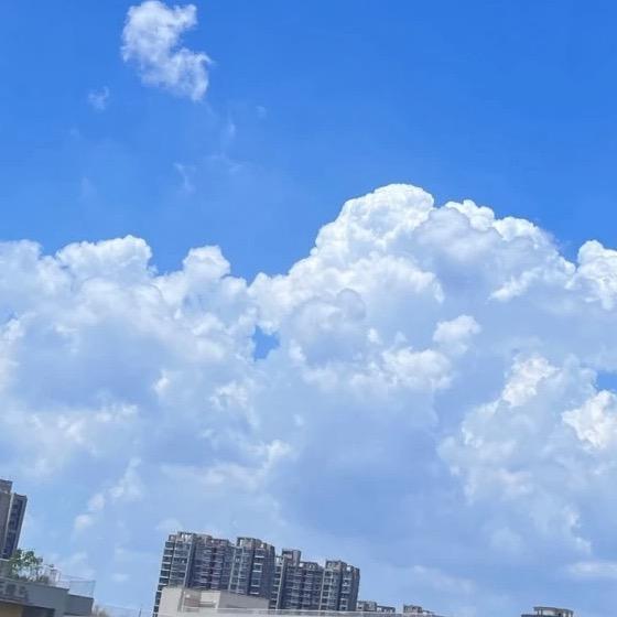 Y头像