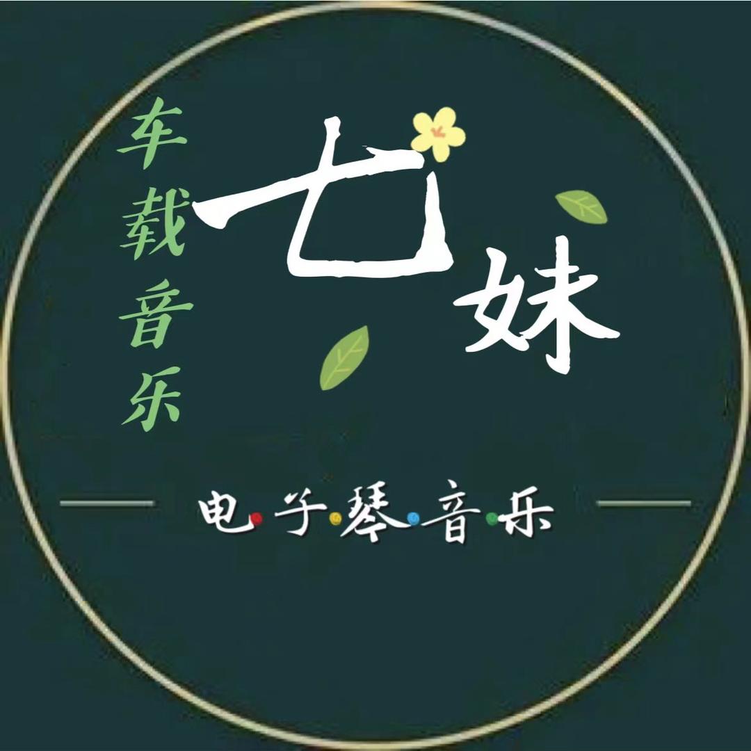 七妹电子琴音乐（优盘）