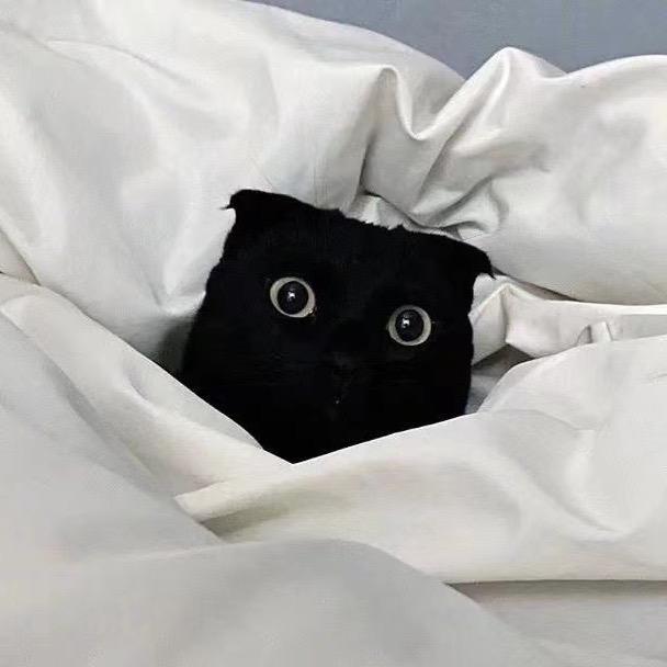 我不是大菠萝