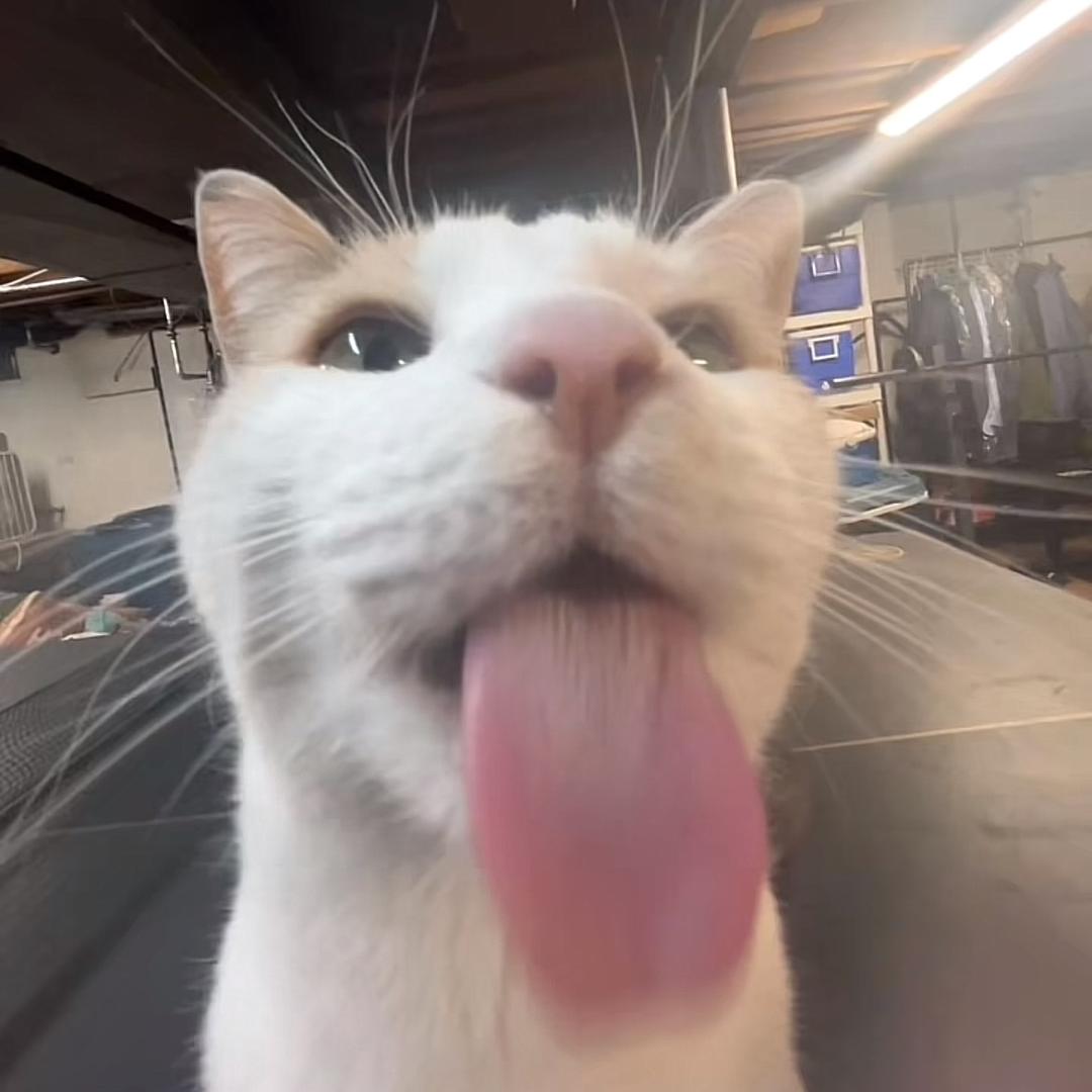 ^xx^