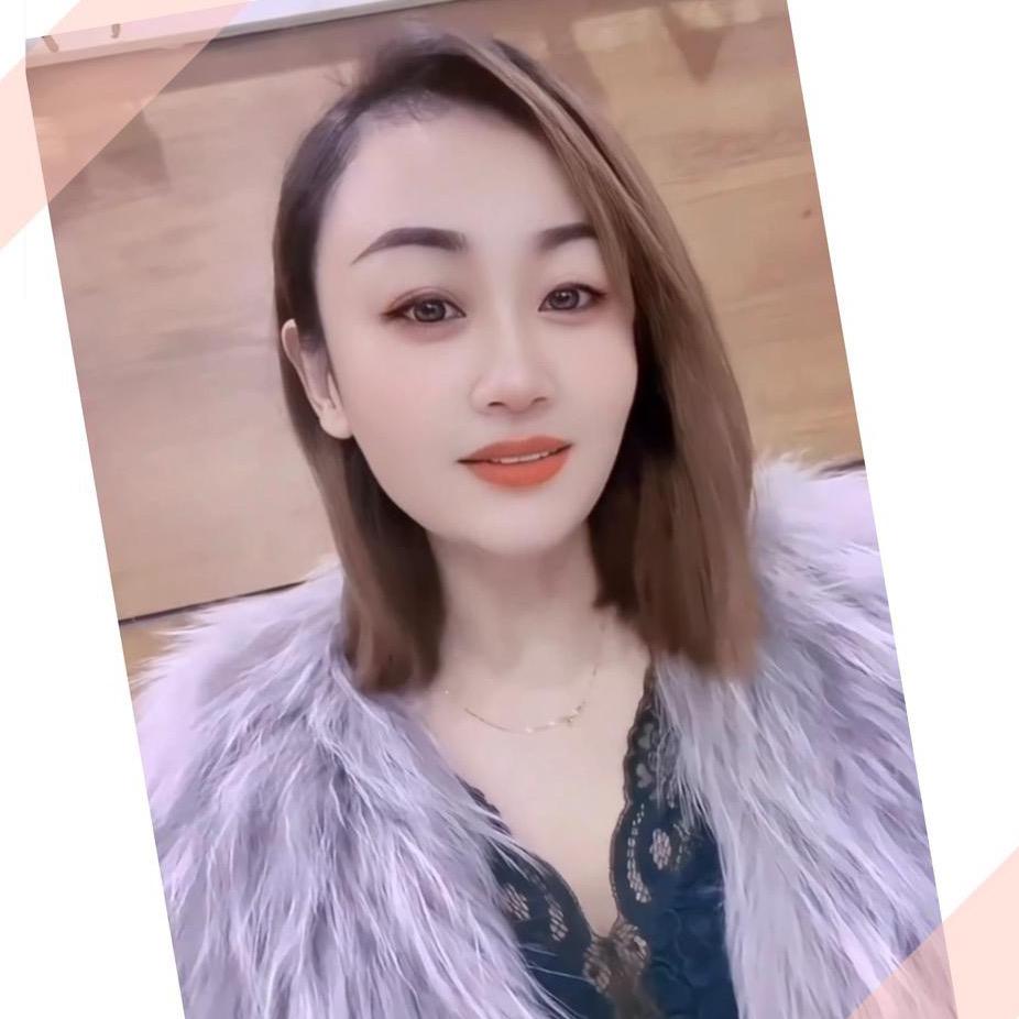 一只海鸥