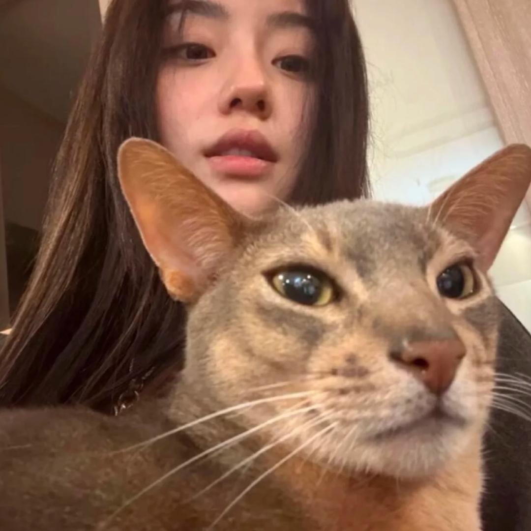 阿茹茹茹茹茹😻