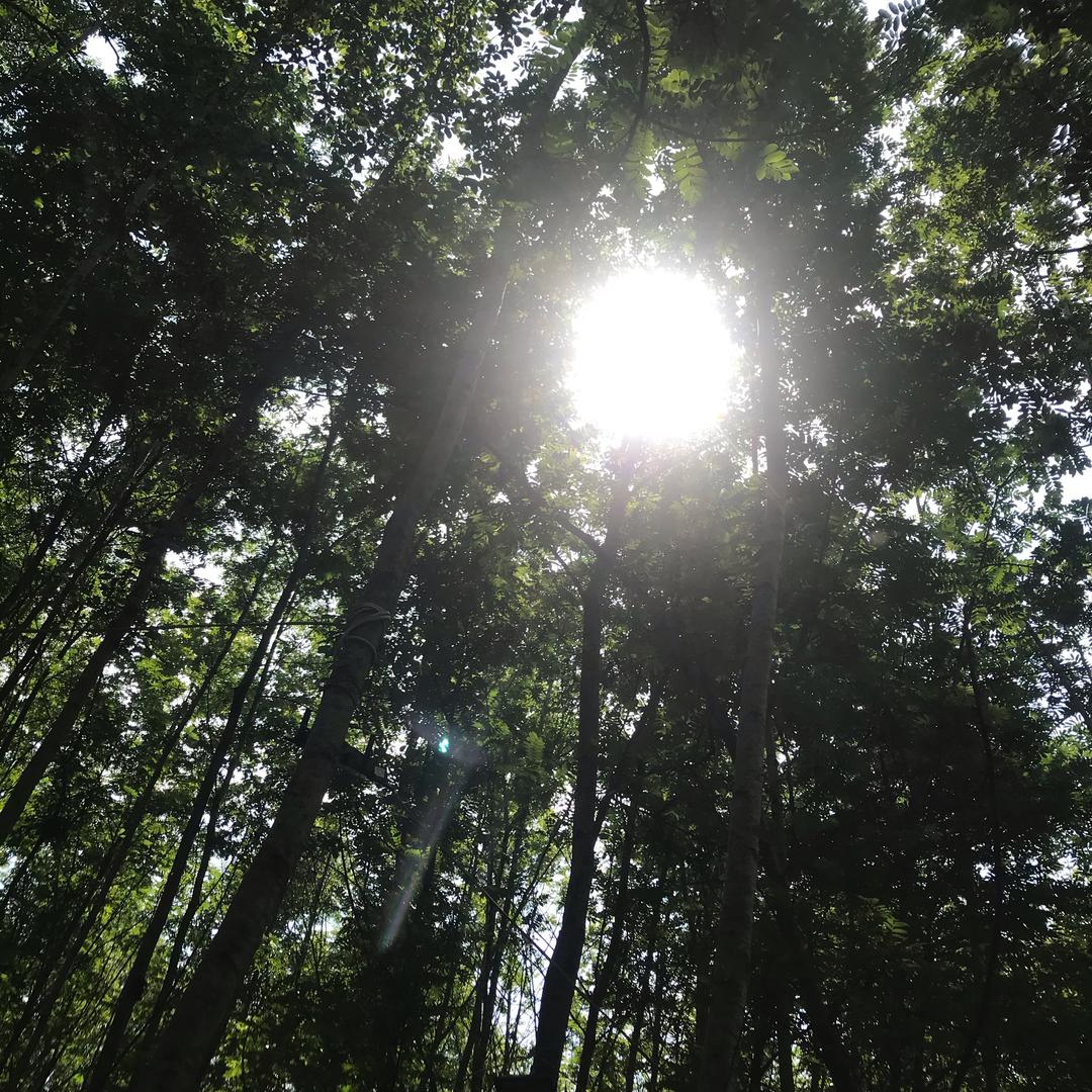 余生只爱自己。