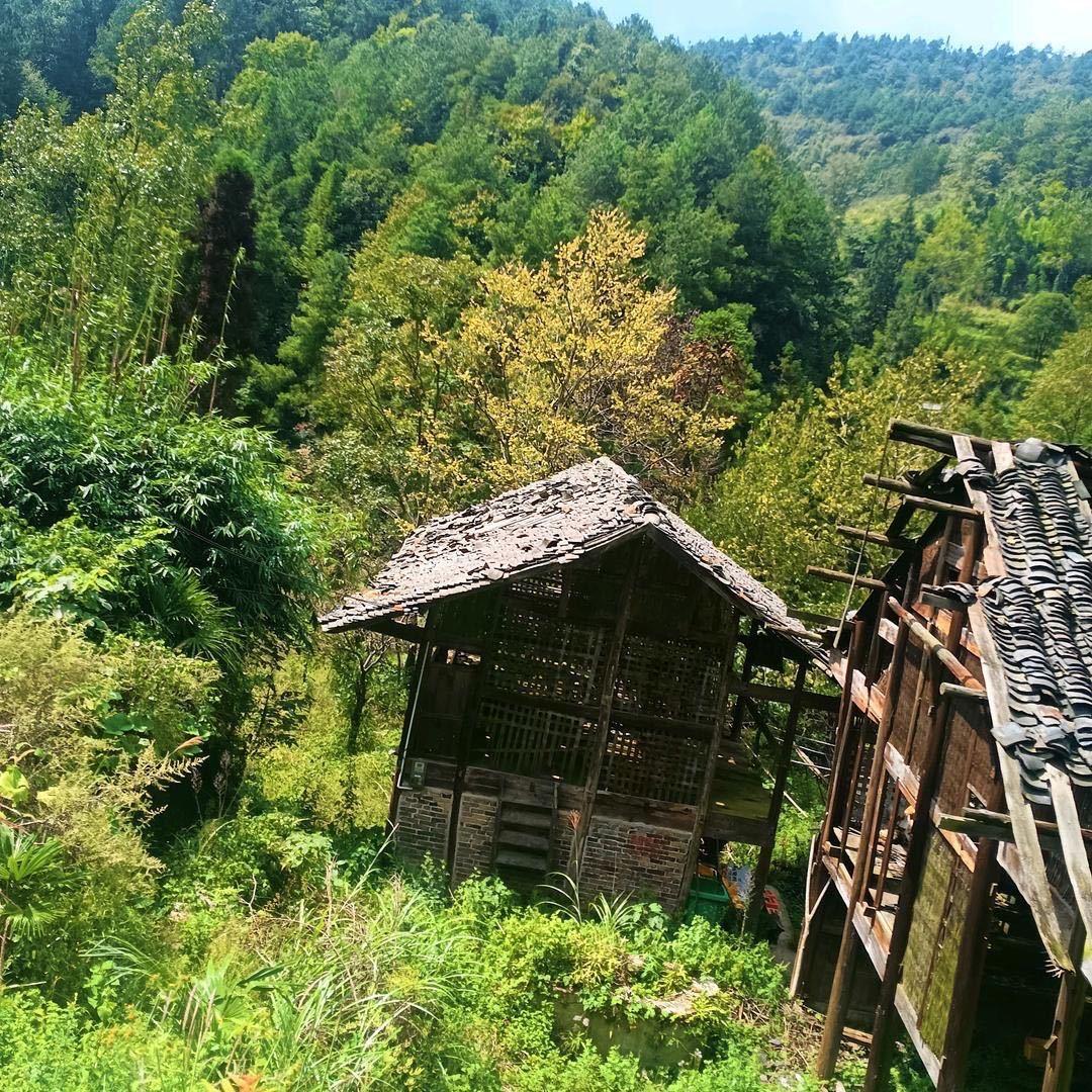 贵州山农本草
