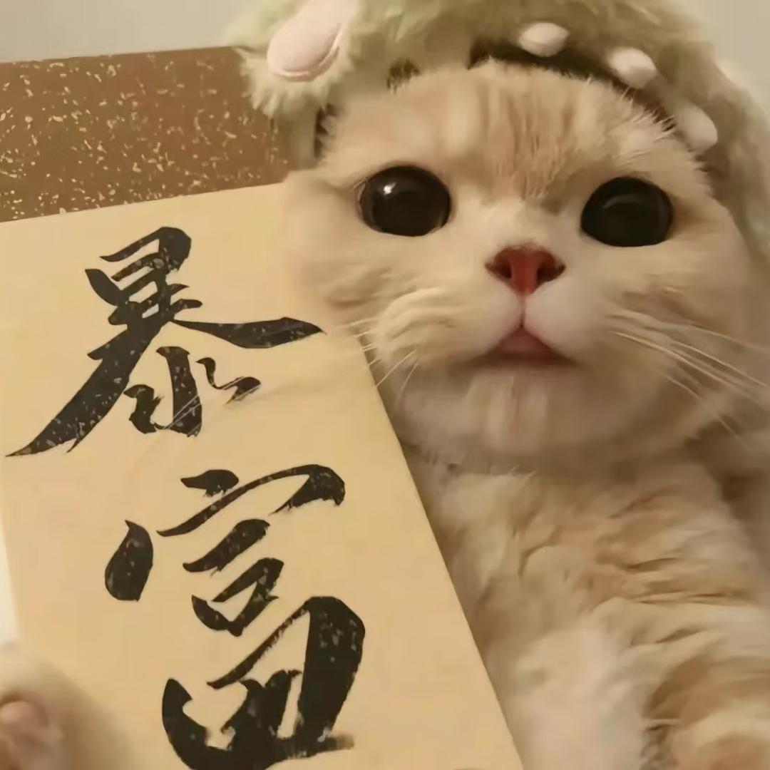 小康同学