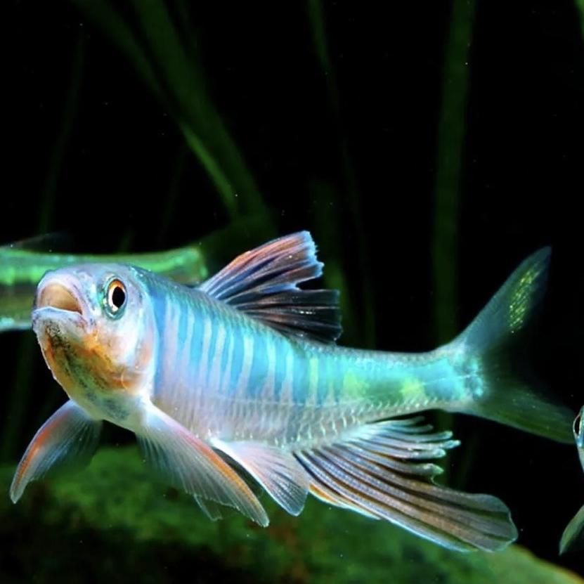 竟钓科技渔具店