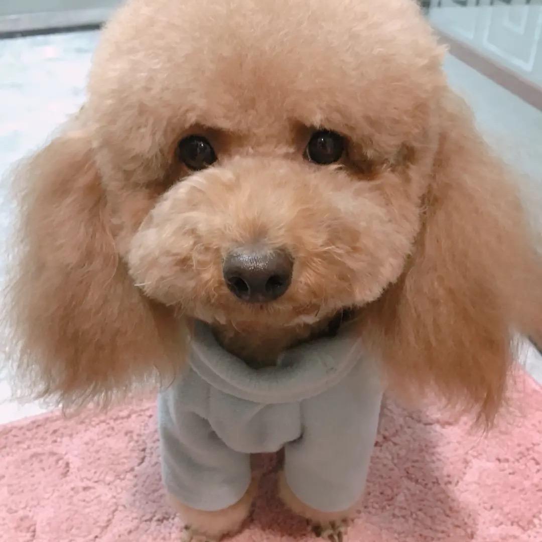 pinkpink🧑🏻‍🚀