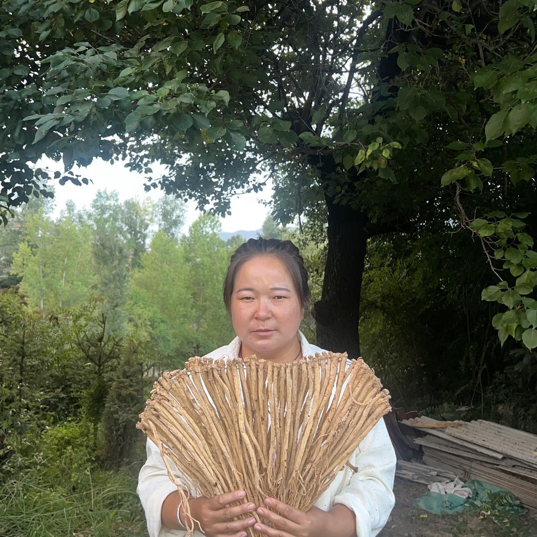 岷县小杜滋补养生店