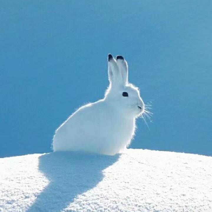 老烦童