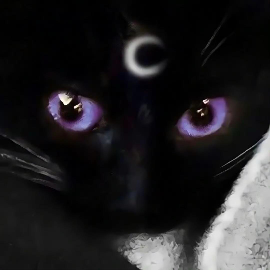 貓醬