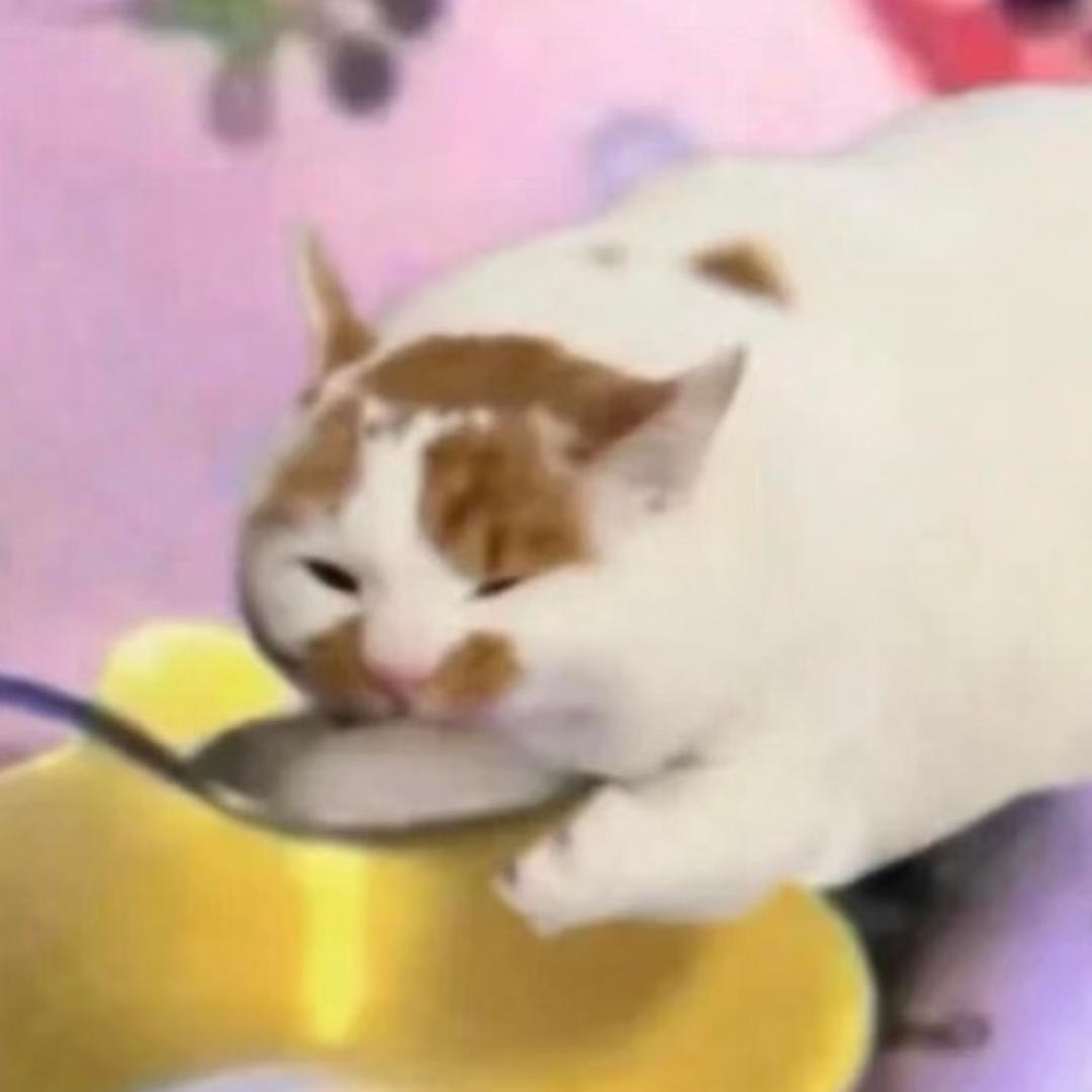 大脸